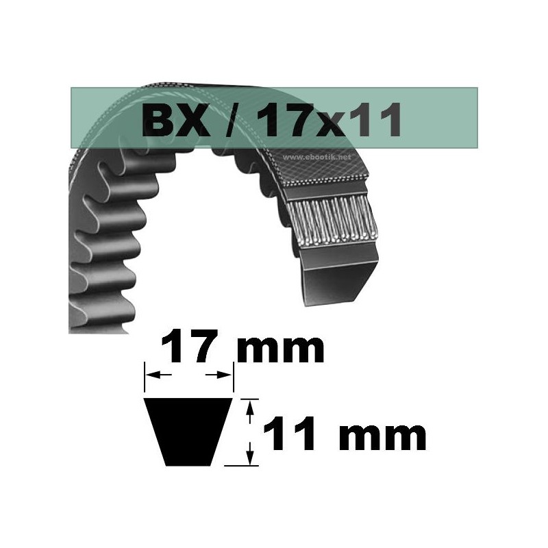 BX23