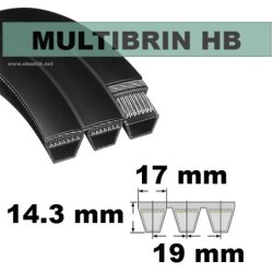 HB118x5 Brins